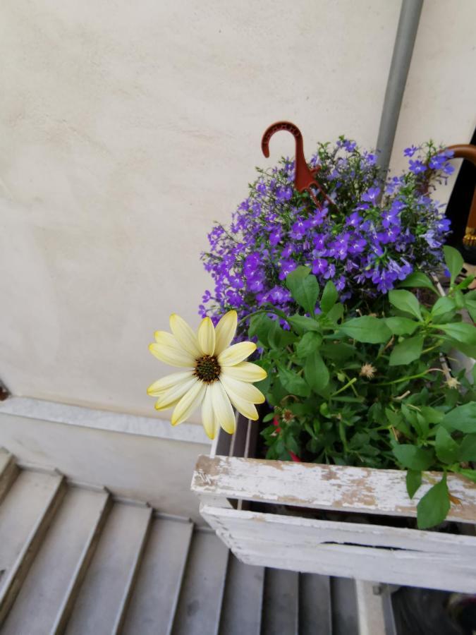 Casuzzamia Apartment Palermo Exterior photo